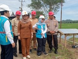 Pertama Kalinya, Pemkab Barru dan PLN Resmikan Penyalaan Listrik Pompanisasi Masuk Sawah