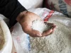 Harga Beras Melonjak , Tembus Rp15.000 per Kilogram di Pasaran