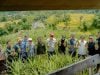 Nanas Madu Barru Lebih dari Sekadar Manis, Ini Perbedaannya dengan Nanas Biasa