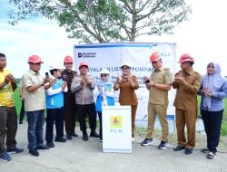 Listrik untuk Rakyat, Petani di Barru Bisa Hemat Operasional Hingga 55 Persen Berkat Layanan PLN