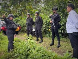 Granat Nanas Ditemukan Warga Turikale, Diledakkan di Bantimurung