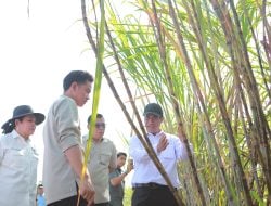Wapres Gibran dan Mentan Amran Berikan Solusi untuk Petani Tebu, Target Swasembada Gula di 2026
