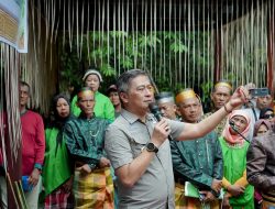 Pesta Panen Adat Paenge Ma’jimpo-jimpo