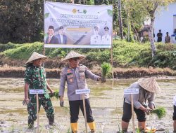 Polres Barru Dukung Percepatan Tanam Serentak 50.000 Hektar, Wujud Komitmen Ketahanan Pangan
